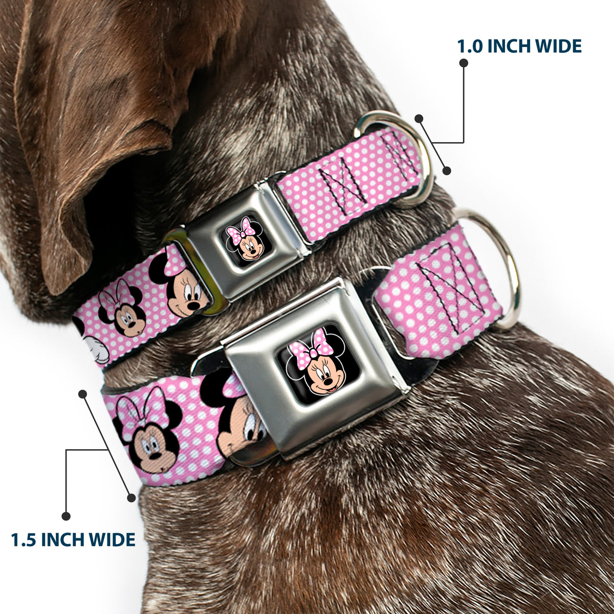 Minnie Mouse Full Color Face Pink Polka Dot Black Seatbelt Buckle Collar - Minnie Mouse Expressions Polka Dot Pink/White Dog Collars Seatbelt Buckle Disney