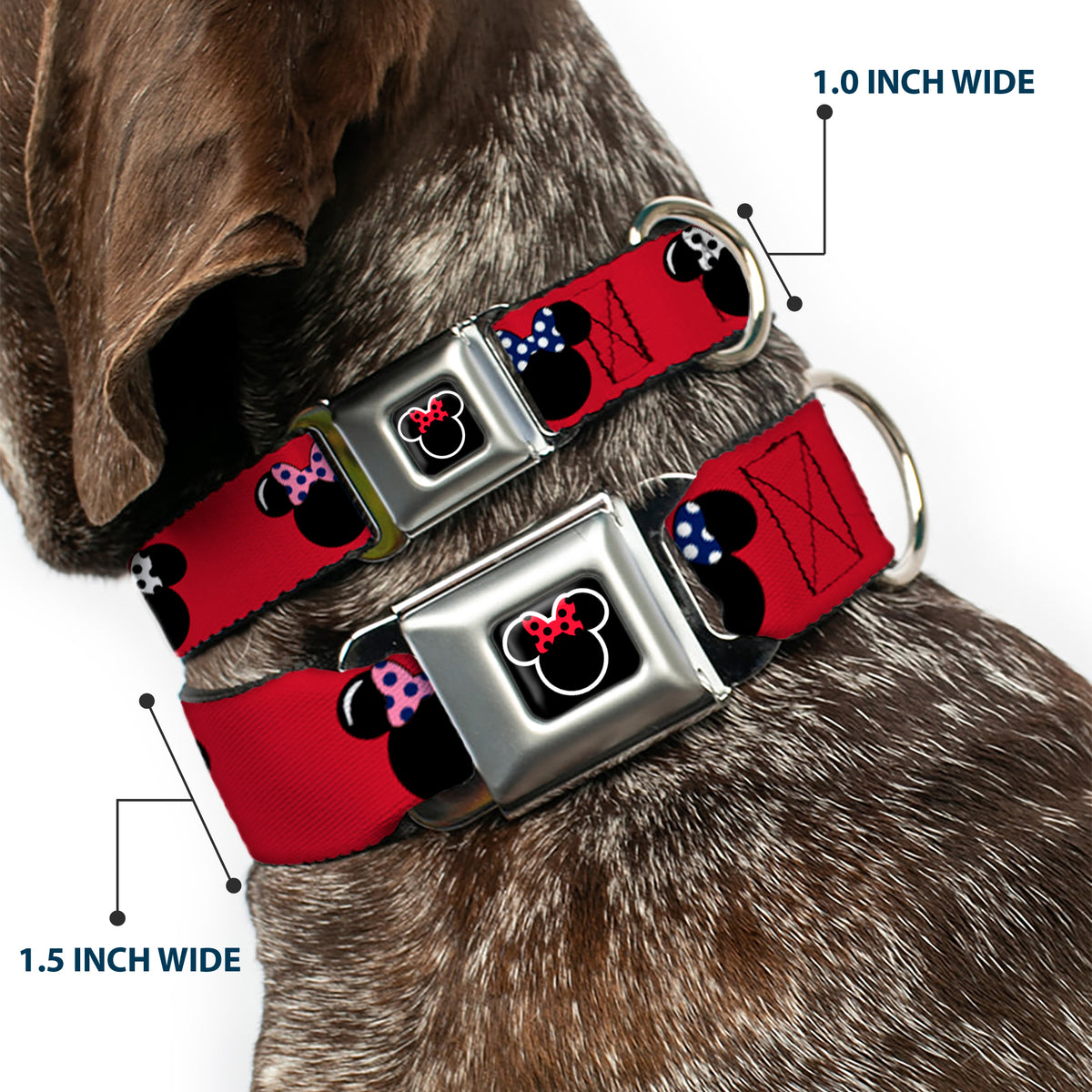 Minnie Mouse Outline Full Color Black White Red Polka Dot Seatbelt Buckle Collar - Minnie Mouse Silhouette Red/Black/Polka Dot Dog Collars Seatbelt Buckle Disney