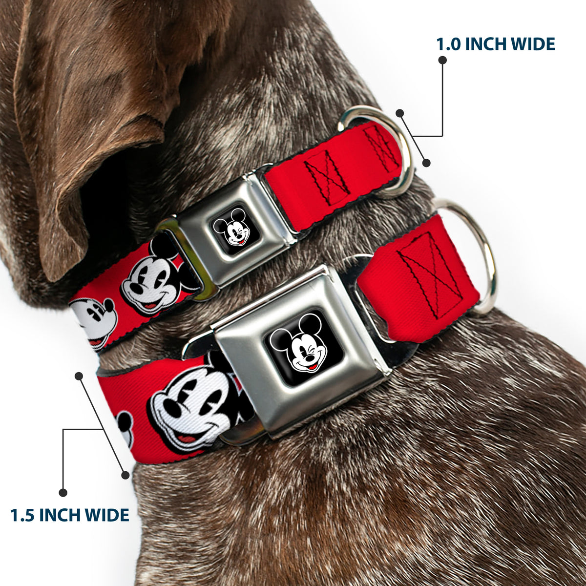 Mickey Mouse Winking Full Color Black Seatbelt Buckle Collar - Mickey Mouse Expressions Red/Black/White Dog Collars Seatbelt Buckle Disney