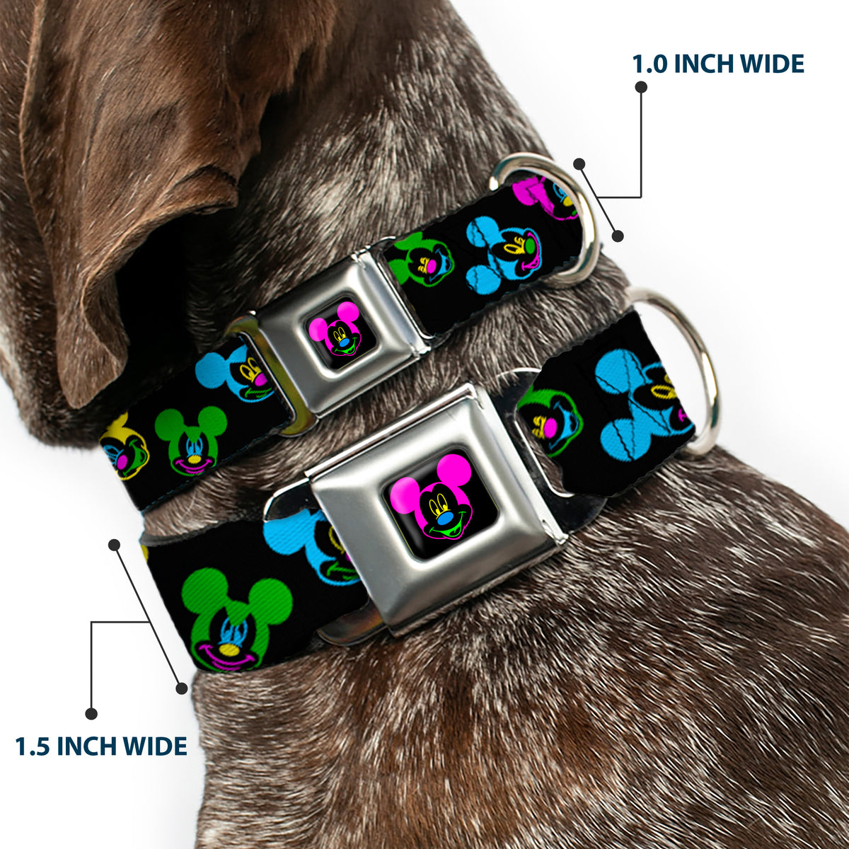 Mickey Mouse Face Full Color Black Multi Neon Seatbelt Buckle Collar - Mickey Mouse Expressions Scattered Black/Multi Neon Dog Collars Seatbelt Buckle Disney