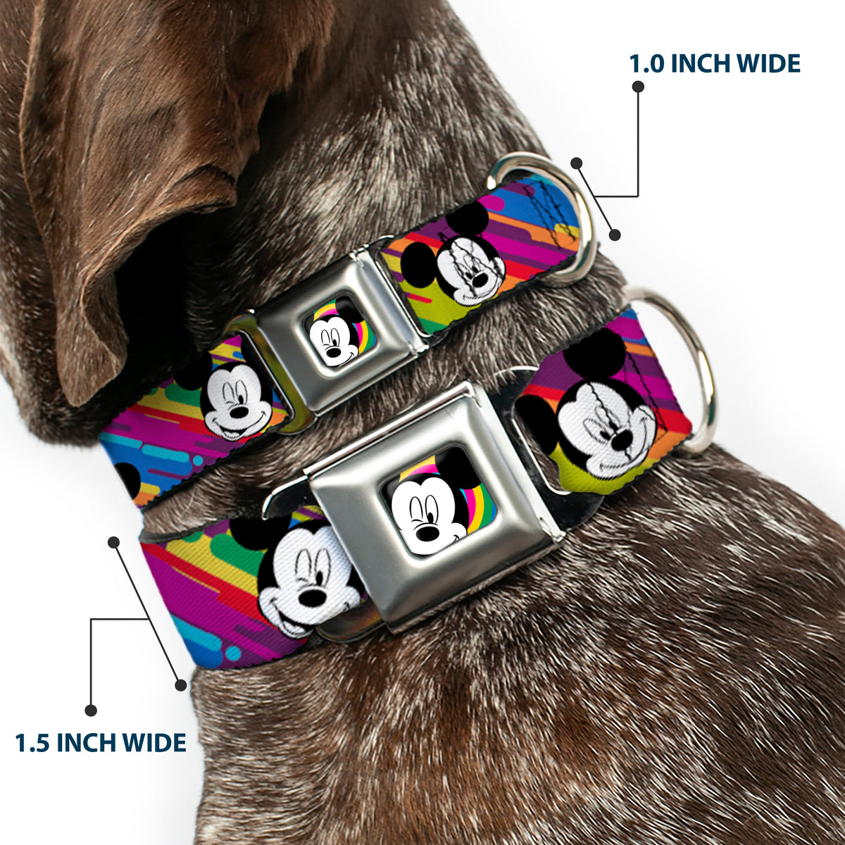 Mickey Mouse Winking CLOSE-UP Full Color Multi Color Black White Seatbelt Buckle Collar - Mickey Mouse Expressions Multi Color White/Black Dog Collars Seatbelt Buckle Disney