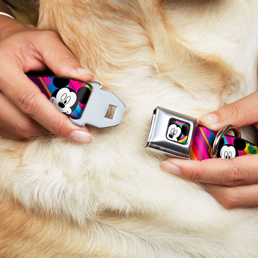 Mickey Mouse Winking CLOSE-UP Full Color Multi Color Black White Seatbelt Buckle Collar - Mickey Mouse Expressions Multi Color White/Black Dog Collars Seatbelt Buckle Disney