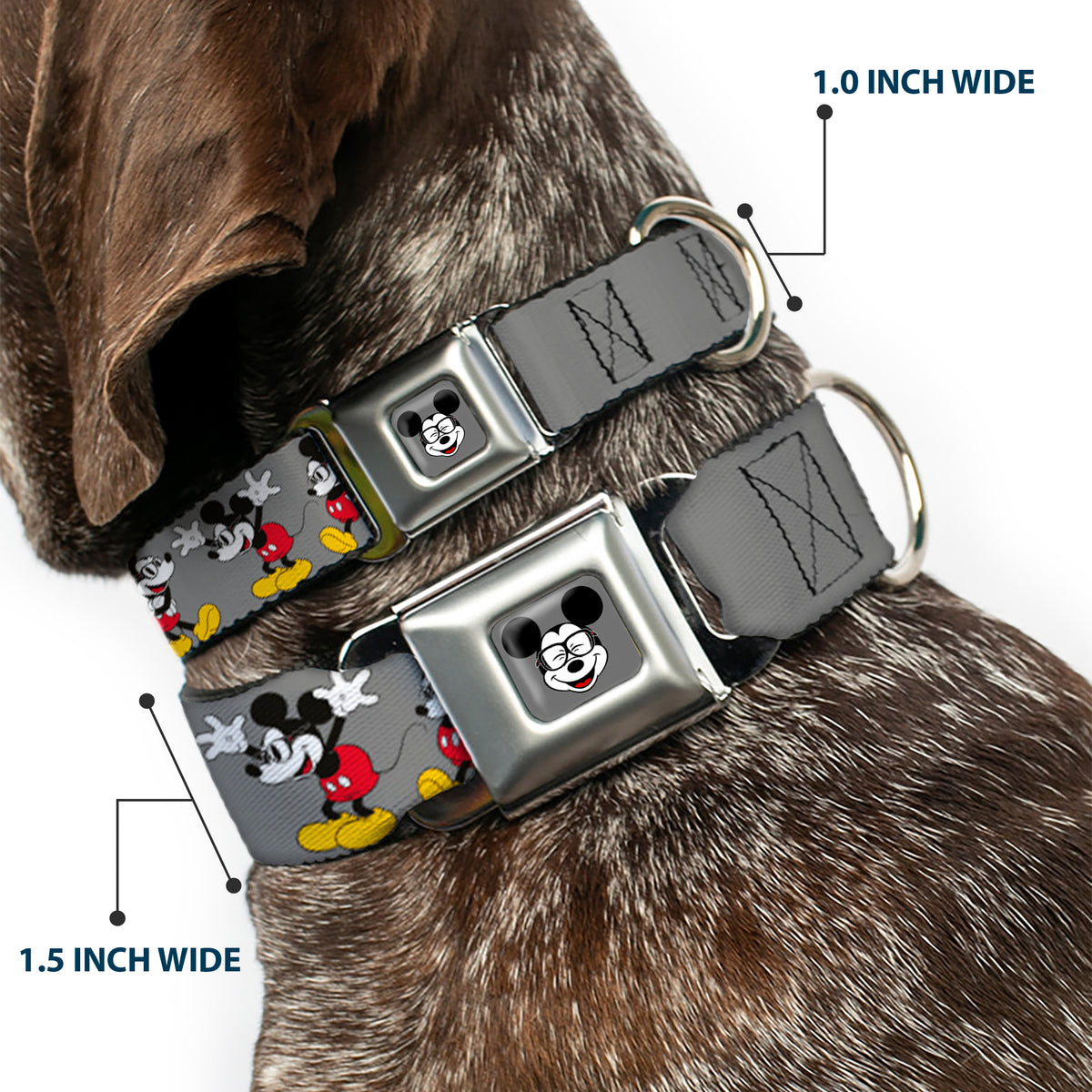 Mickey Mouse w Glasses Full Color Gray Seatbelt Buckle Collar - Mickey Mouse w/Glasses Poses Gray Dog Collars Seatbelt Buckle Disney