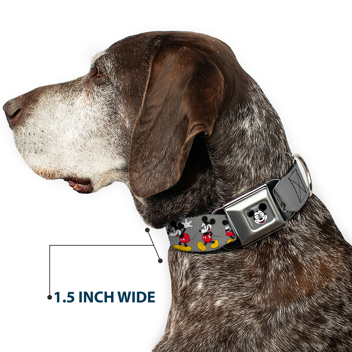 Mickey Mouse w Glasses Full Color Gray Seatbelt Buckle Collar - Mickey Mouse w/Glasses Poses Gray Dog Collars Seatbelt Buckle Disney