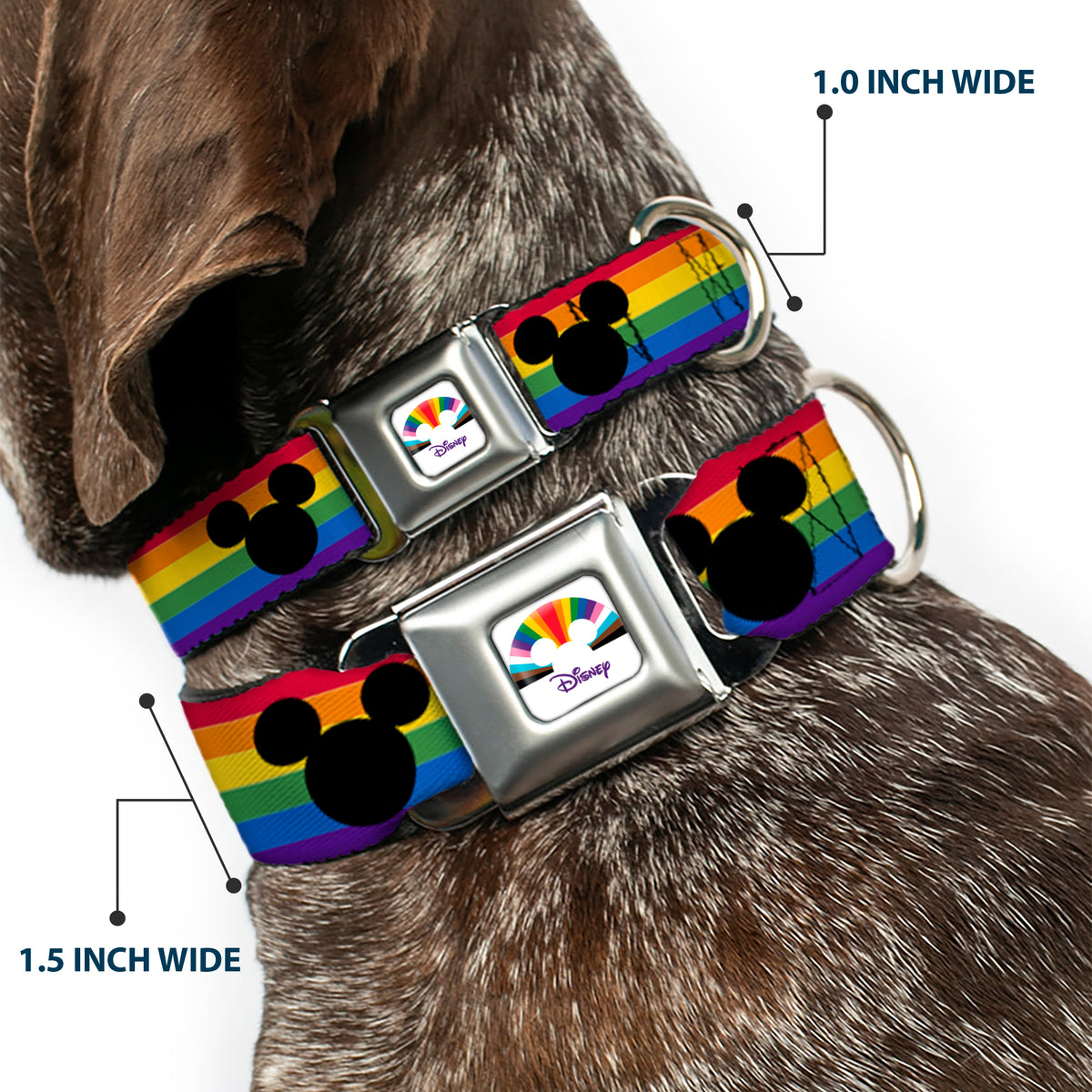 DISNEY Mickey Mouse Pride Ears Icon Full Color White/Multi Color Seatbelt Buckle Collar - Mickey Mouse Ears Icon Rainbow Pride Flag Dog Collars Seatbelt Buckle Disney