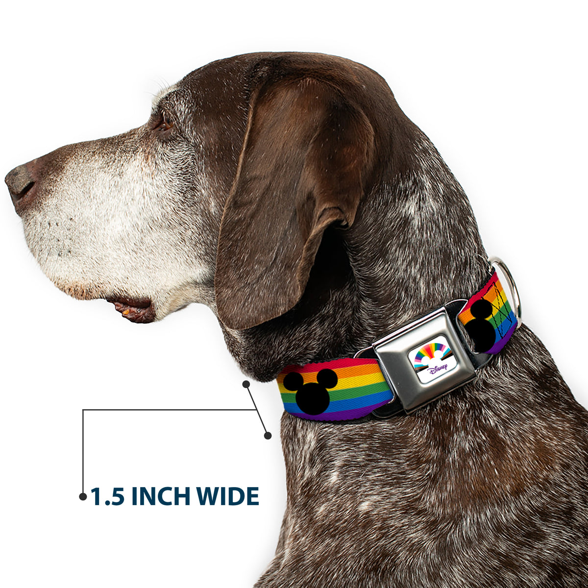 DISNEY Mickey Mouse Pride Ears Icon Full Color White/Multi Color Seatbelt Buckle Collar - Mickey Mouse Ears Icon Rainbow Pride Flag Dog Collars Seatbelt Buckle Disney
