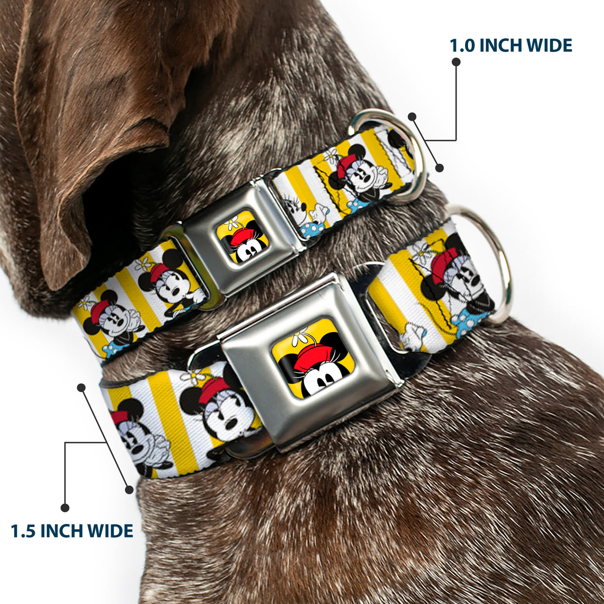 Minnie Mouse w Hat CLOSE-UP Full Color Yellow Seatbelt Buckle Collar - Minnie Mouse w/Hat Poses Stripe Yellow/White Dog Collars Seatbelt Buckle Disney
