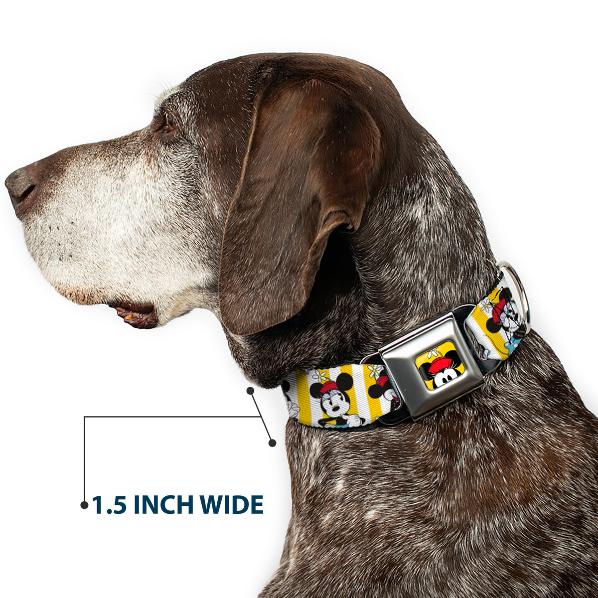 Minnie Mouse w Hat CLOSE-UP Full Color Yellow Seatbelt Buckle Collar - Minnie Mouse w/Hat Poses Stripe Yellow/White Dog Collars Seatbelt Buckle Disney