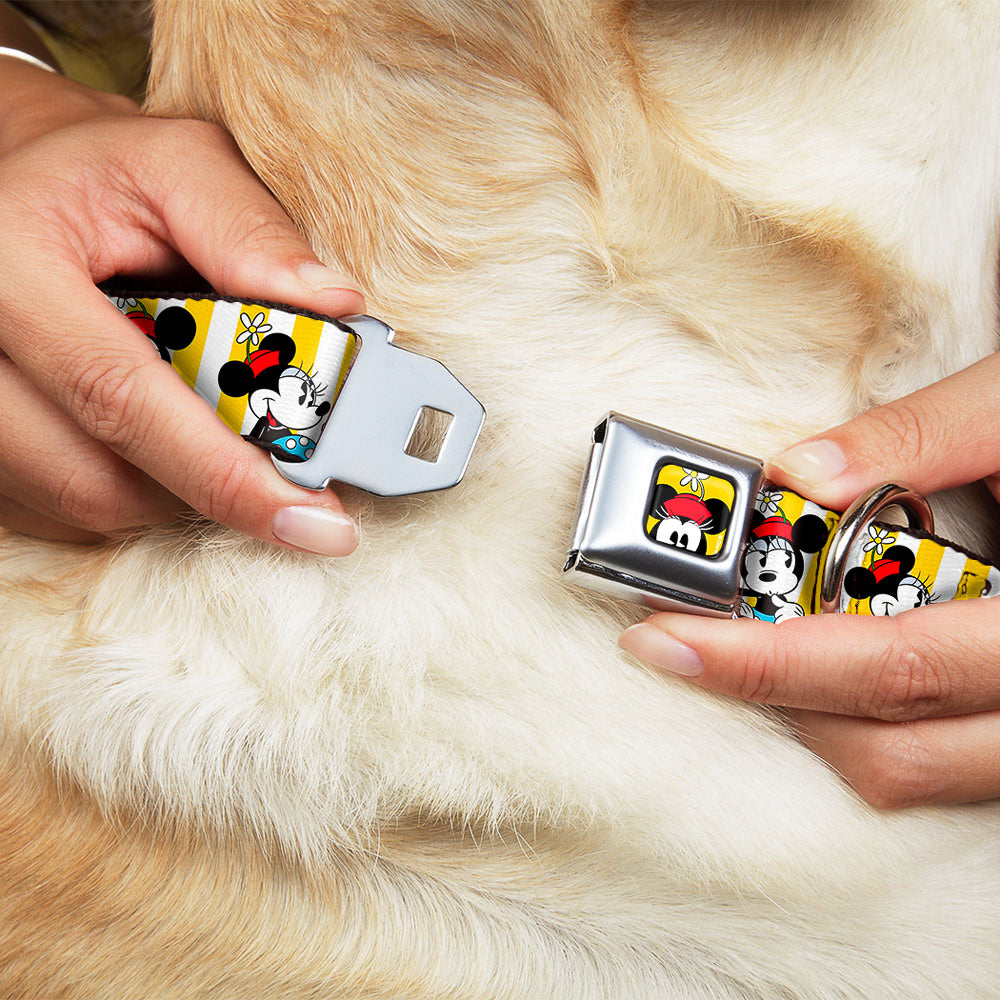 Minnie Mouse w Hat CLOSE-UP Full Color Yellow Seatbelt Buckle Collar - Minnie Mouse w/Hat Poses Stripe Yellow/White Dog Collars Seatbelt Buckle Disney