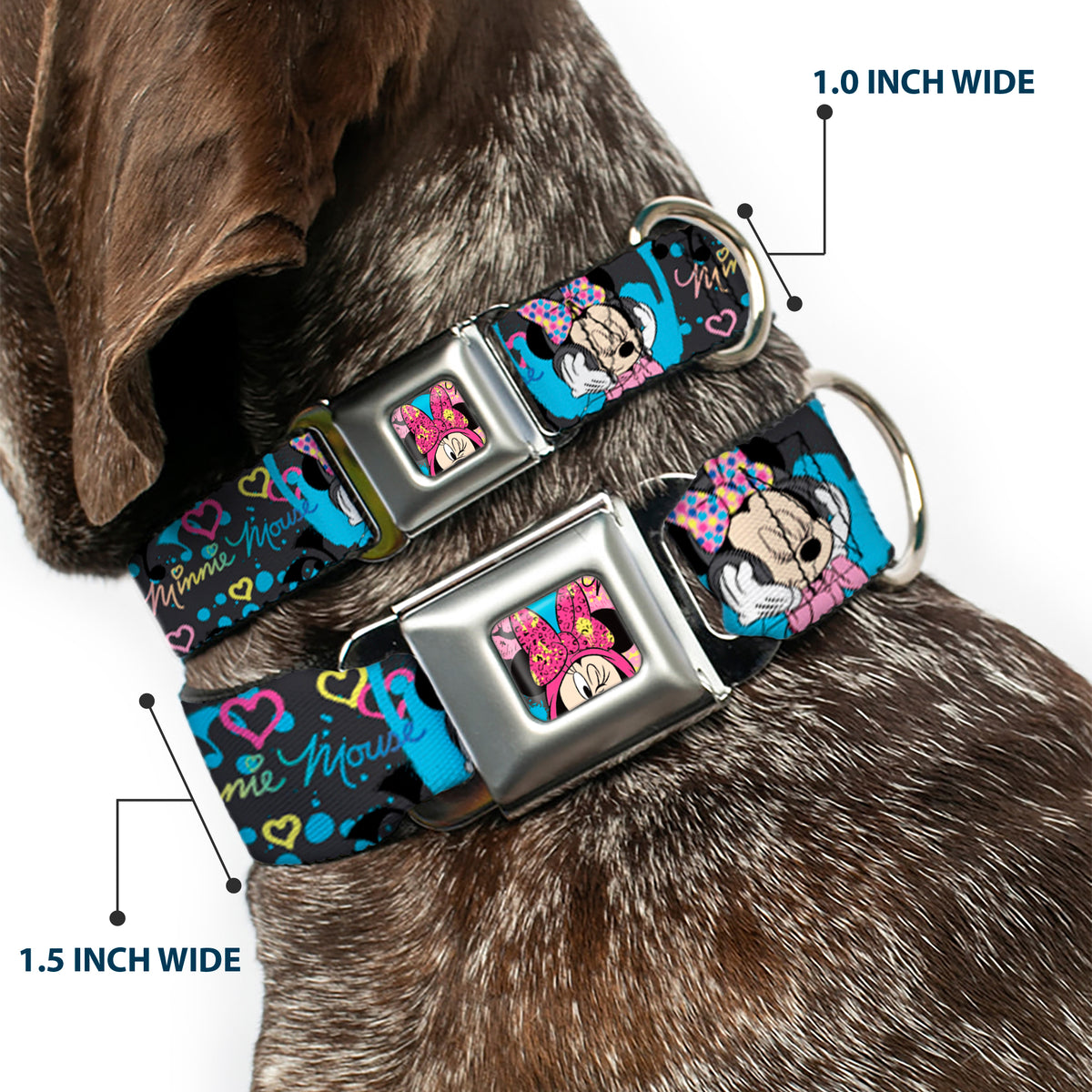 Minnie Mouse Winking CLOSE-UP Full Color Multi Color Seatbelt Buckle Collar - Minnie Mouse Hoody & Headphone Poses Gray/Multi Color Dog Collars Seatbelt Buckle Disney