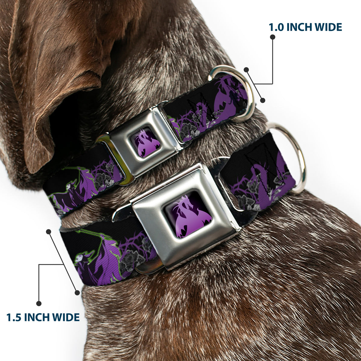Dragon Maleficent Full Color Black Purple Seatbelt Buckle Collar - Maleficent & Diablo Black Roses/Purples Dog Collars Seatbelt Buckle Disney