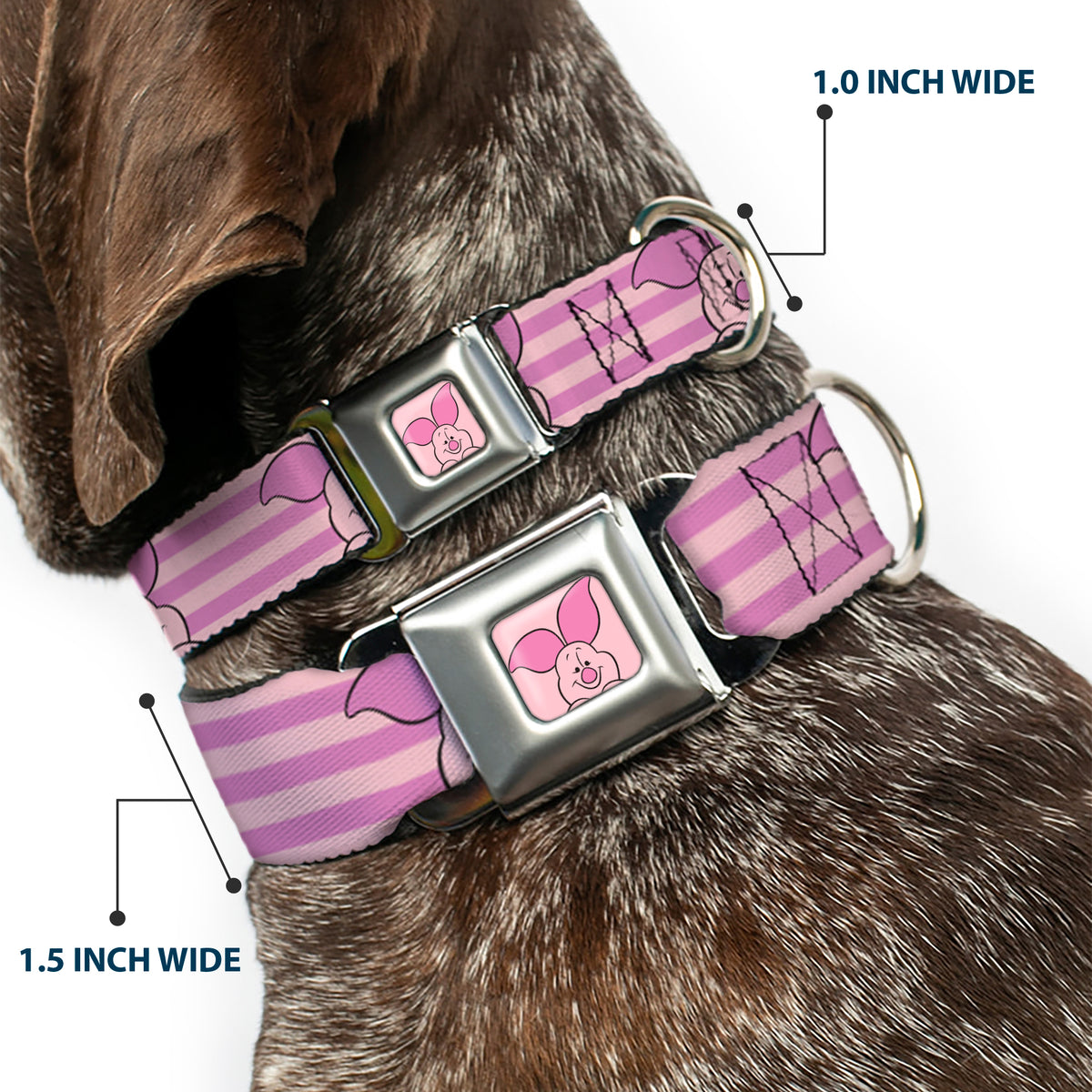 Winnie the Pooh Piglet Expression Close-Up Pink Seatbelt Buckle Collar - Winnie the Pooh Piglet Expression Close-Up Stripe Pinks Dog Collars Seatbelt Buckle Disney