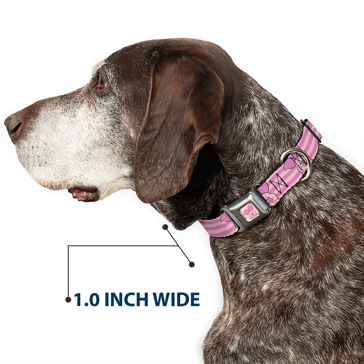 Winnie the Pooh Piglet Expression Close-Up Pink Seatbelt Buckle Collar - Winnie the Pooh Piglet Expression Close-Up Stripe Pinks Dog Collars Seatbelt Buckle Disney