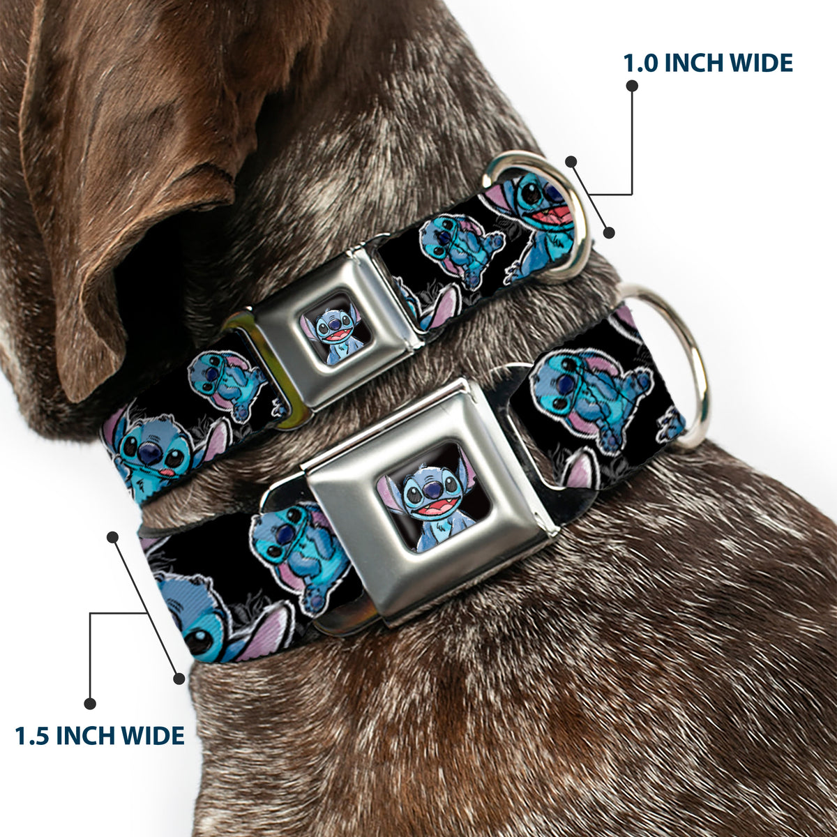 Stitch Face Sketch CLOSE-UP Full Color Black Seatbelt Buckle Collar - Stitch Poses/Hibiscus Sketch Black/Gray/Blue Dog Collars Seatbelt Buckle Disney