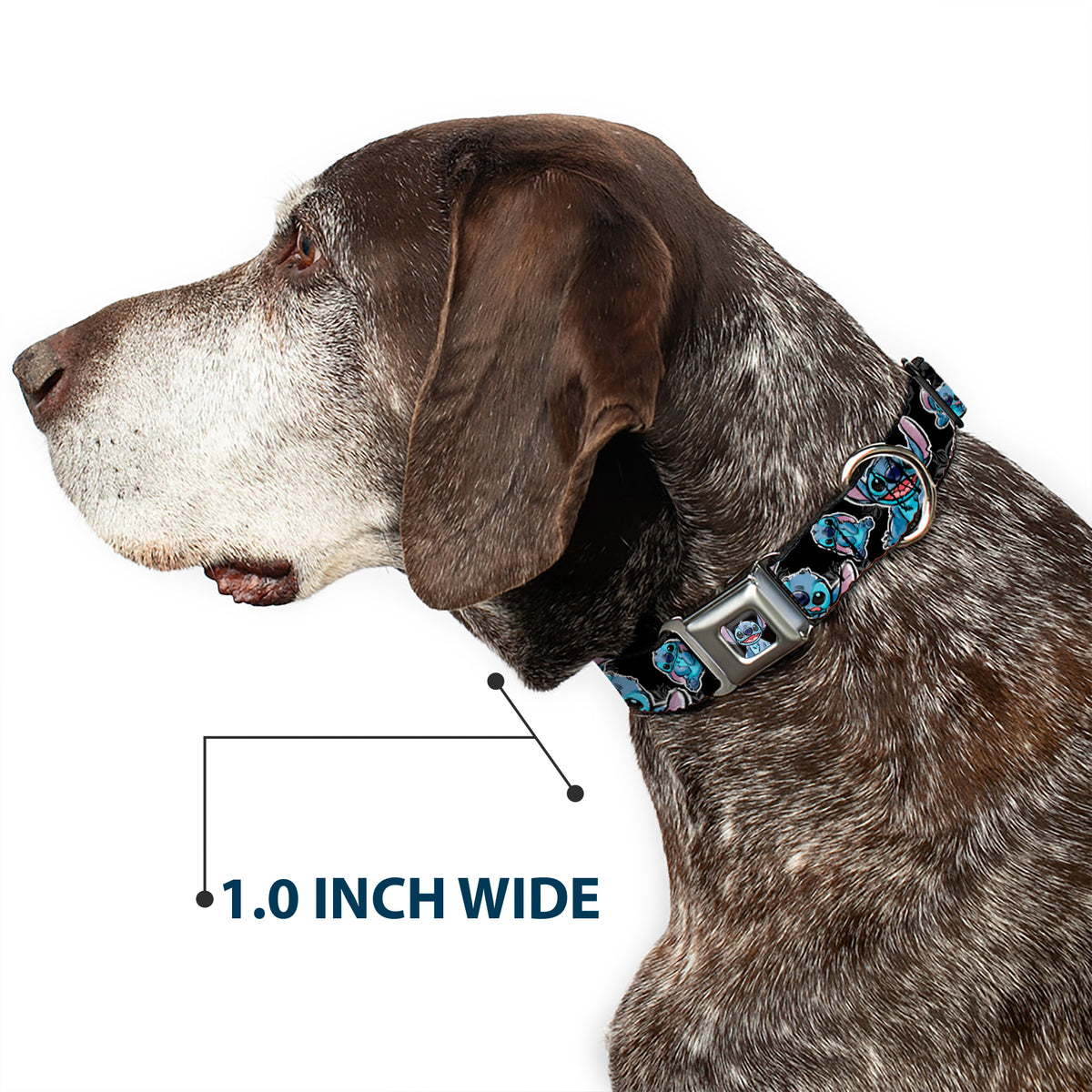 Stitch Face Sketch CLOSE-UP Full Color Black Seatbelt Buckle Collar - Stitch Poses/Hibiscus Sketch Black/Gray/Blue Dog Collars Seatbelt Buckle Disney