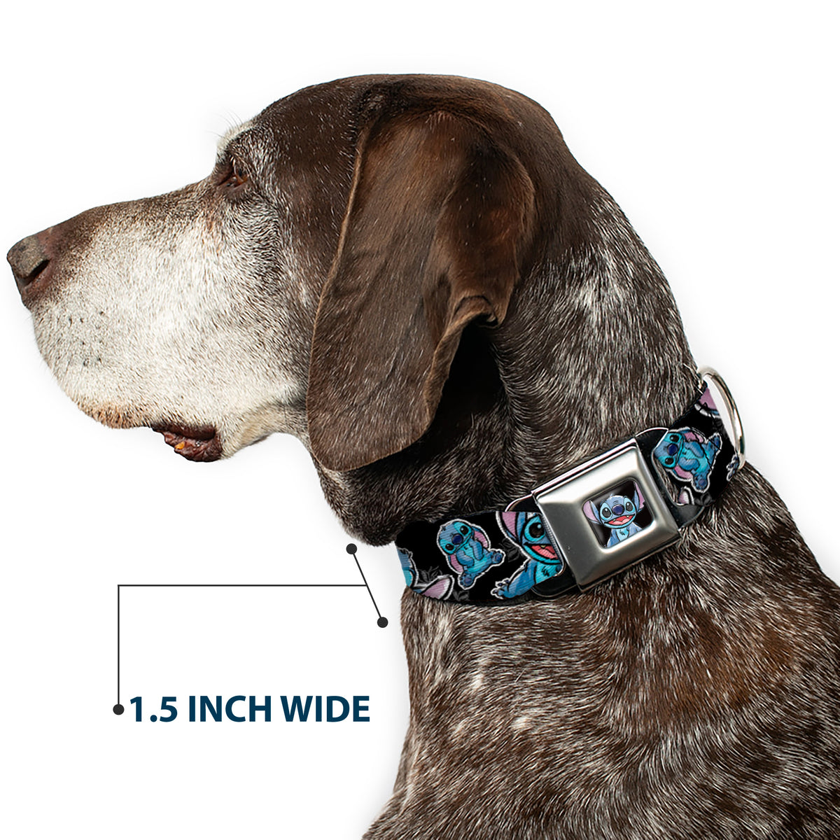 Stitch Face Sketch CLOSE-UP Full Color Black Seatbelt Buckle Collar - Stitch Poses/Hibiscus Sketch Black/Gray/Blue Dog Collars Seatbelt Buckle Disney