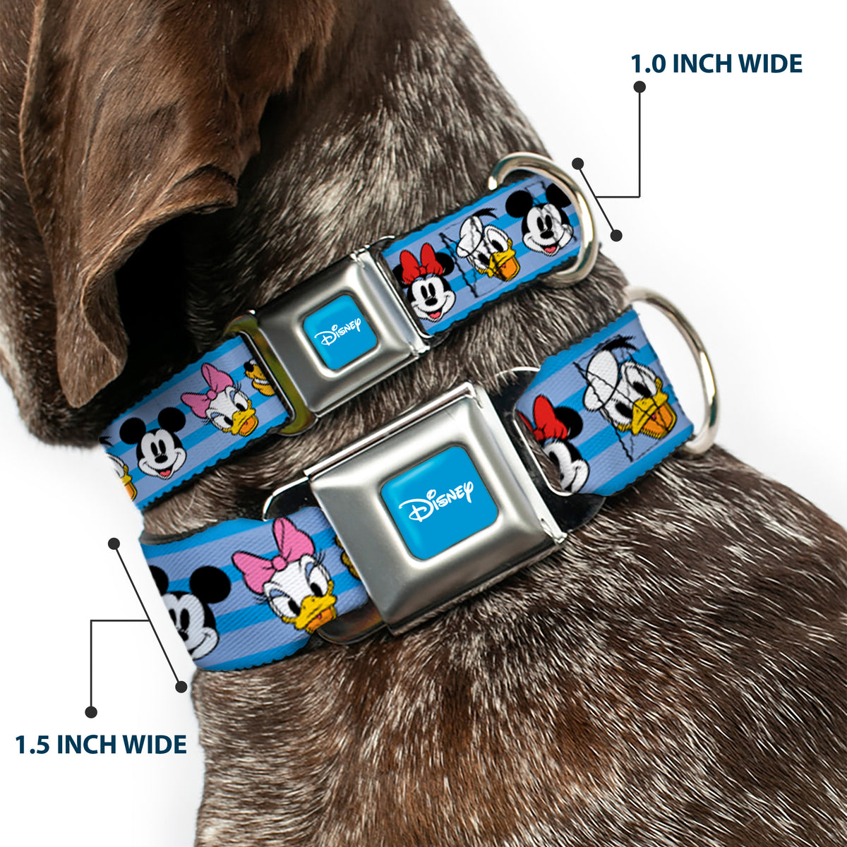 DISNEY Signature Full Color Blue/White Seatbelt Buckle Collar - Disney The Sensational Six Smiling Faces Stripe Blues Dog Collars Seatbelt Buckle Disney