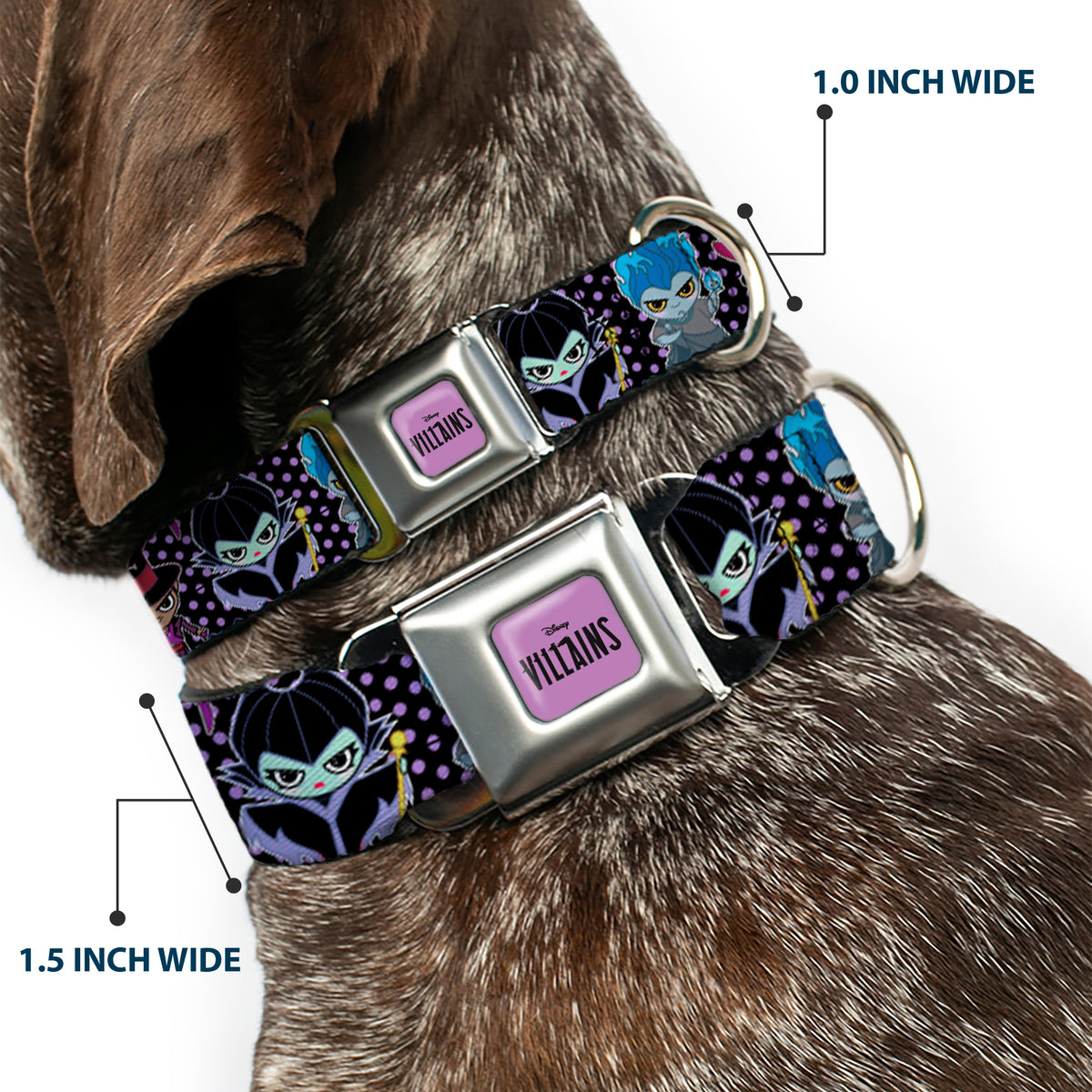 DISNEY VILLAINS Text Full Color Lavender/Black Seatbelt Buckle Collar - Disney 11-Sweet Chibi Villain Poses Polka Dot Black/Lavender Dog Collars Seatbelt Buckle Disney