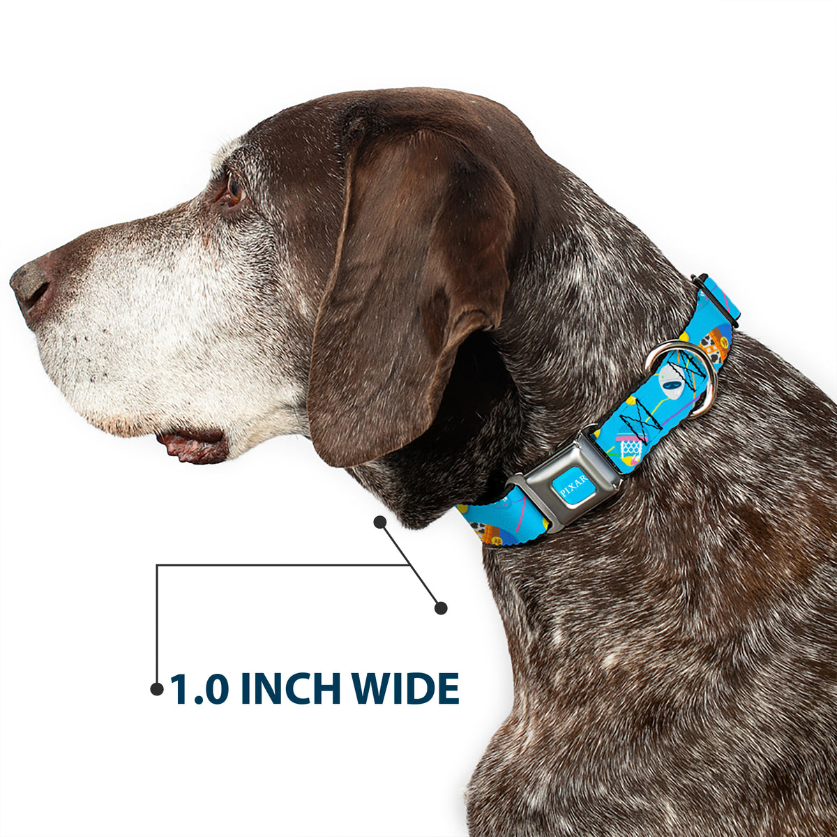PIXAR Title Logo Full Color Blue/White Seatbelt Buckle Collar - Pixar Holiday Collection Easter Egg Characters Scattered Blue Dog Collars Seatbelt Buckle Disney