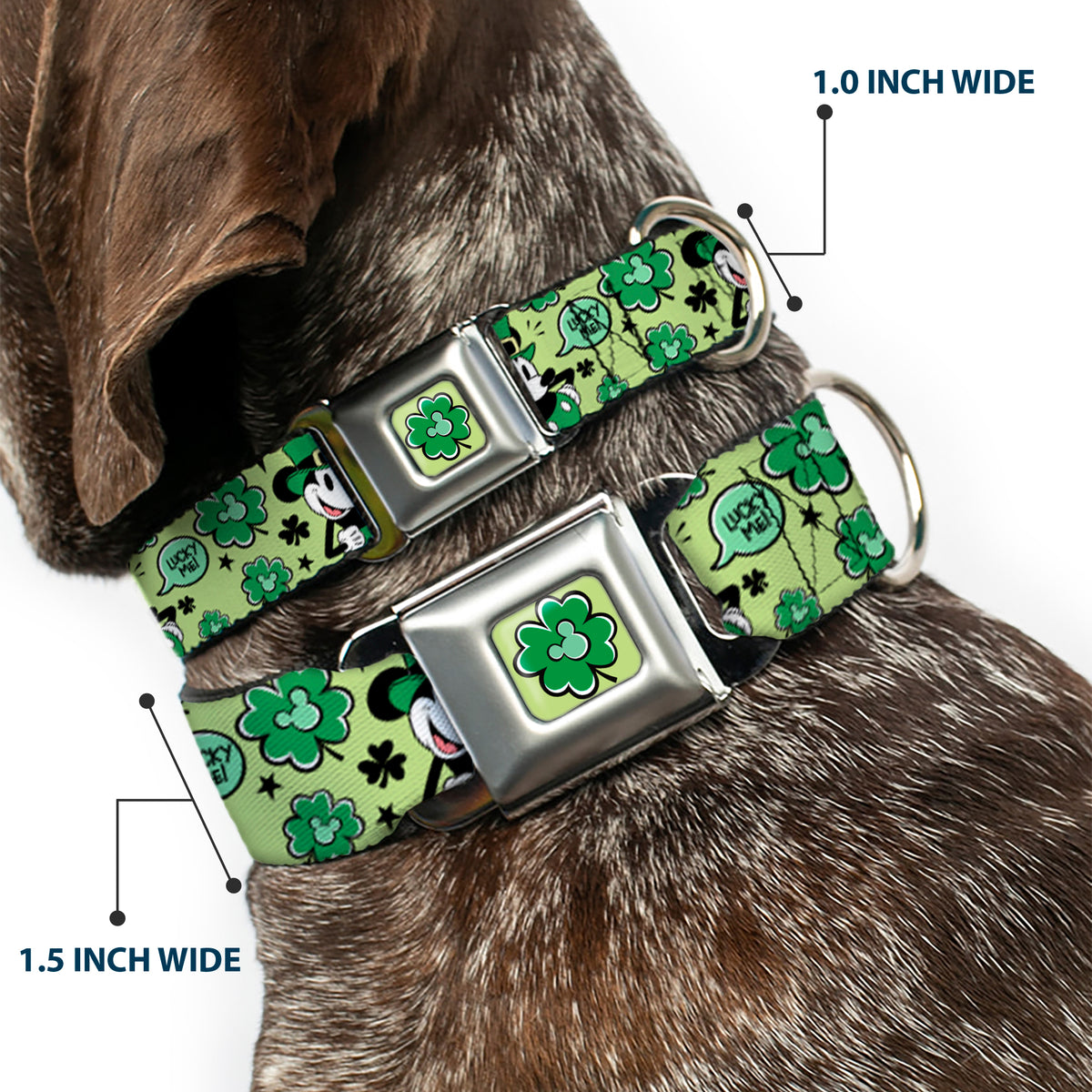 Mickey Mouse St. Patrick's Day Shamrock Full Color Greens Seatbelt Buckle Collar - Mickey Mouse St. Patrick's Day LUCKY ME Leprechaun Pose and Shamrocks Greens Dog Collars Seatbelt Buckle Disney