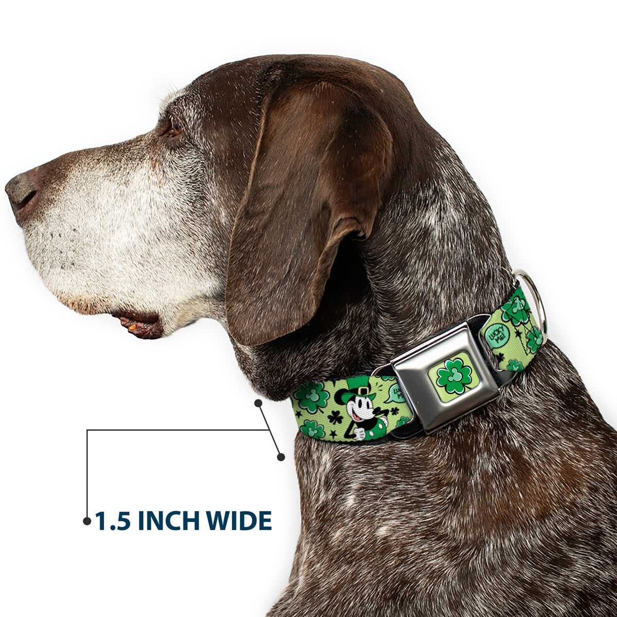 Mickey Mouse St. Patrick's Day Shamrock Full Color Greens Seatbelt Buckle Collar - Mickey Mouse St. Patrick's Day LUCKY ME Leprechaun Pose and Shamrocks Greens Dog Collars Seatbelt Buckle Disney