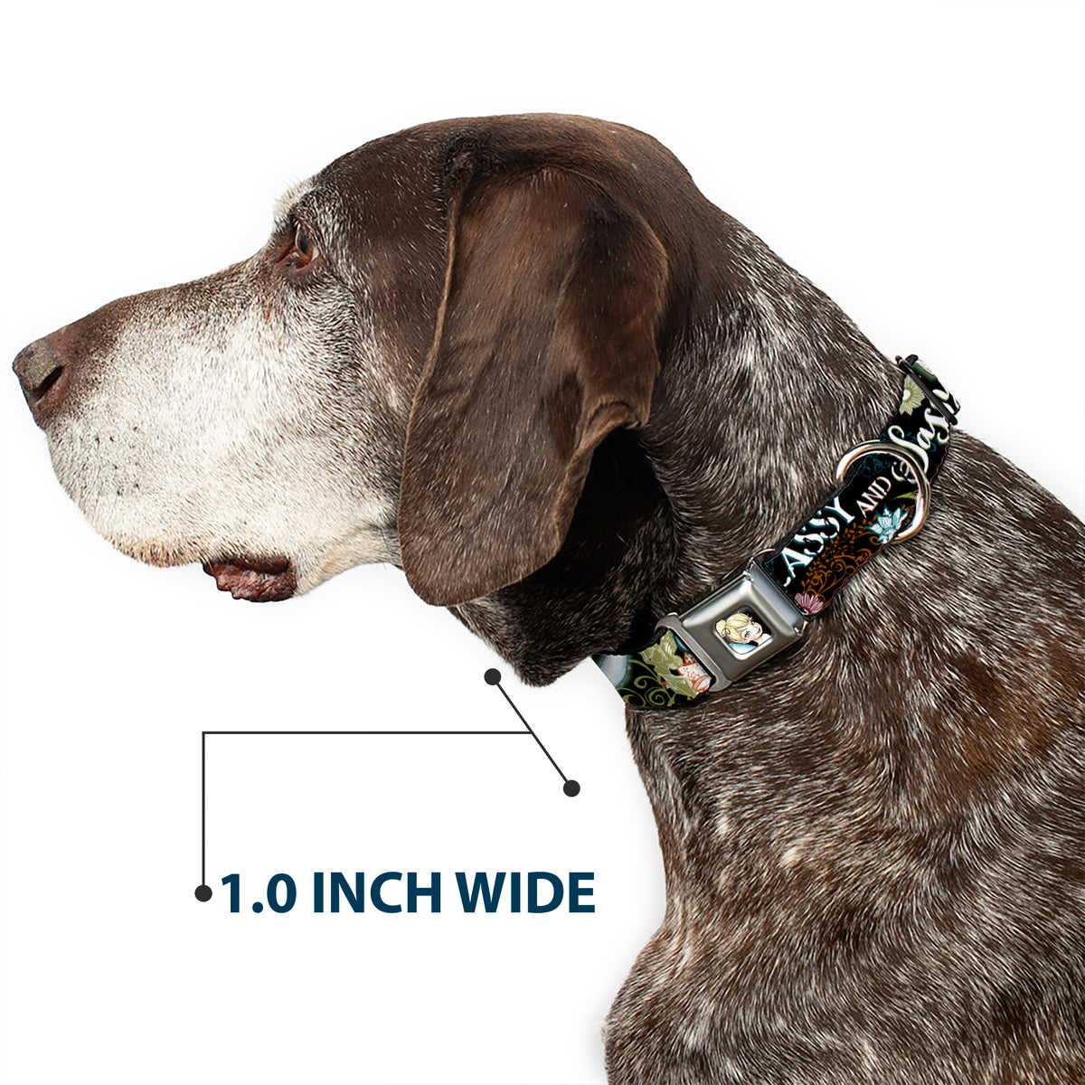 Tinker Bell Sketch Full Color Black Seatbelt Buckle Collar - Tinker Bell Floral Collage CLASSY AND SASSY Dog Collars Seatbelt Buckle Disney