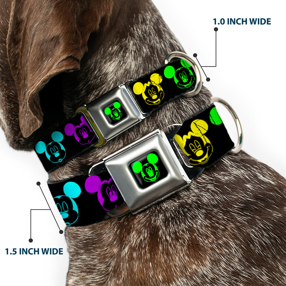 Mickey Mouse Expression2 Full Color Black Neon Green Seatbelt Buckle Collar - Mickey Expressions Black/Multi Neon Dog Collars Seatbelt Buckle Disney