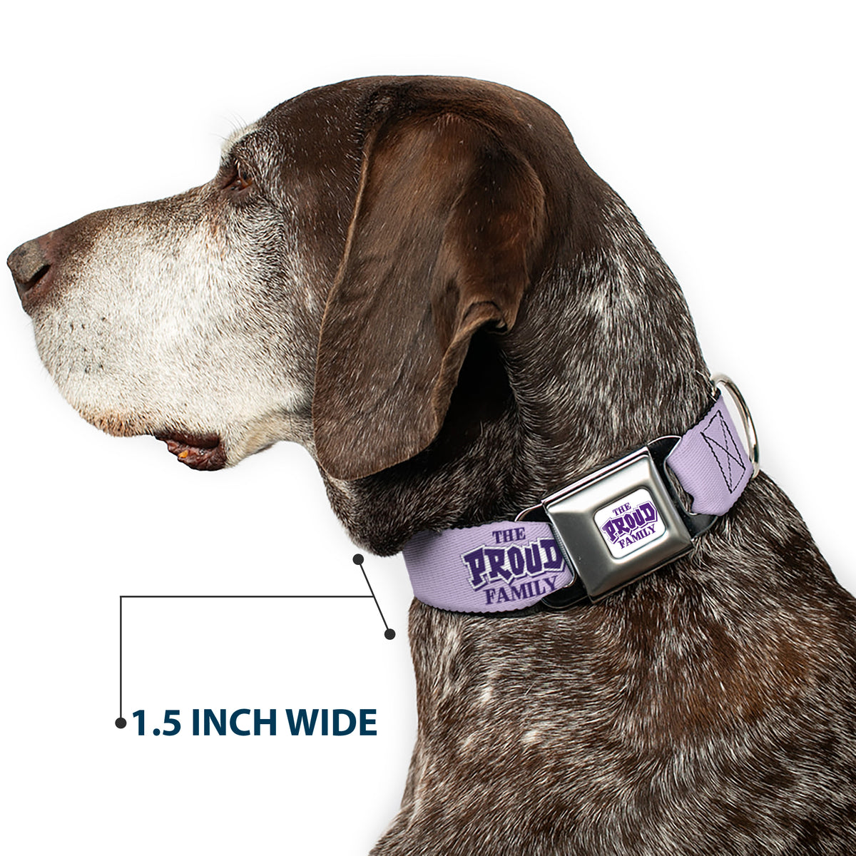 THE PROUD FAMILY Title Logo Full Color White/Purple Seatbelt Buckle Collar - THE PROUD FAMILY Title Logo Purples Dog Collars Seatbelt Buckle Disney