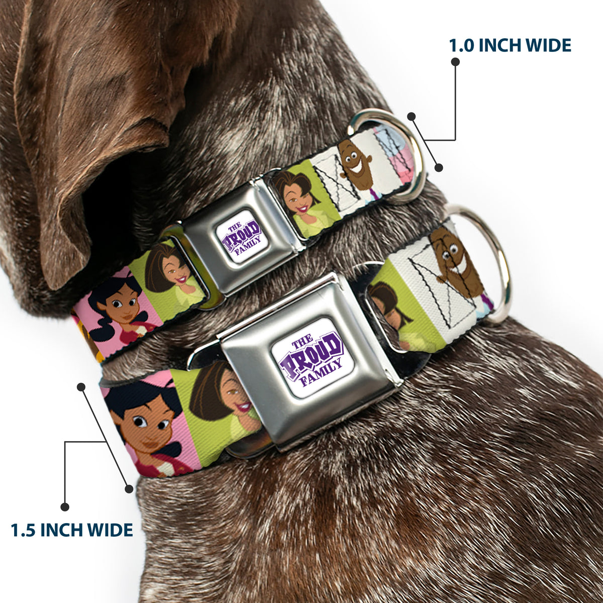 THE PROUD FAMILY Title Logo Full Color White/Purple Seatbelt Buckle Collar - The Proud Family 6-Character Block Poses Dog Collars Seatbelt Buckle Disney