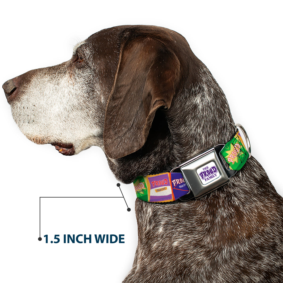 THE PROUD FAMILY Title Logo Full Color White/Purple Seatbelt Buckle Collar - The Proud Family PROUD SNACKS Logo Blocks Multi Color Dog Collars Seatbelt Buckle Disney