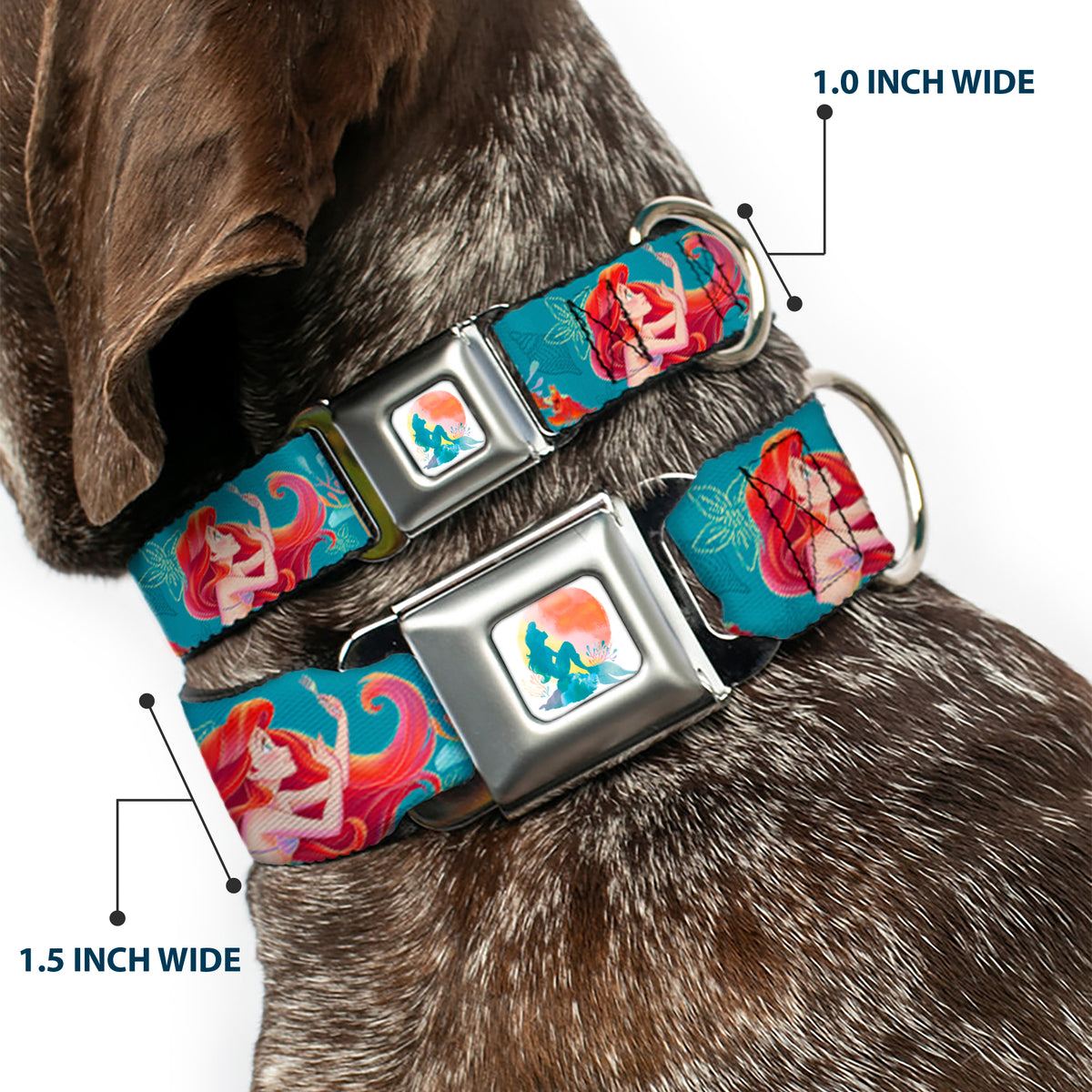 The Little Mermaid Ariel Silhouette Pose Full Color White/Multi Color Seatbelt Buckle Collar - The Little Mermaid Flounder and Sebastian Under the Sea Greens Dog Collars Seatbelt Buckle Disney