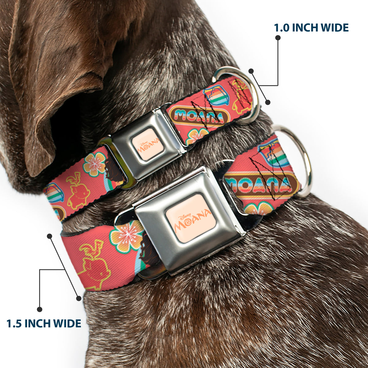 MOANA Title Logo Full Color Beige/Coral Seatbelt Buckle Collar - Moana Pose and Icons Collage Pink Dog Collars Seatbelt Buckle Disney