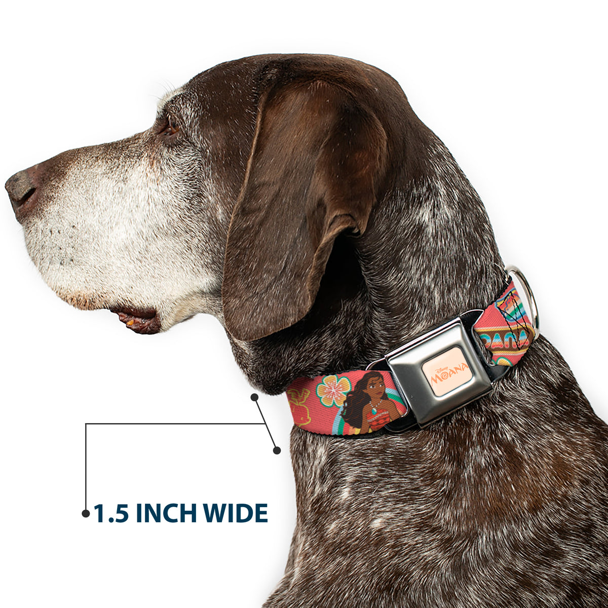 MOANA Title Logo Full Color Beige/Coral Seatbelt Buckle Collar - Moana Pose and Icons Collage Pink Dog Collars Seatbelt Buckle Disney