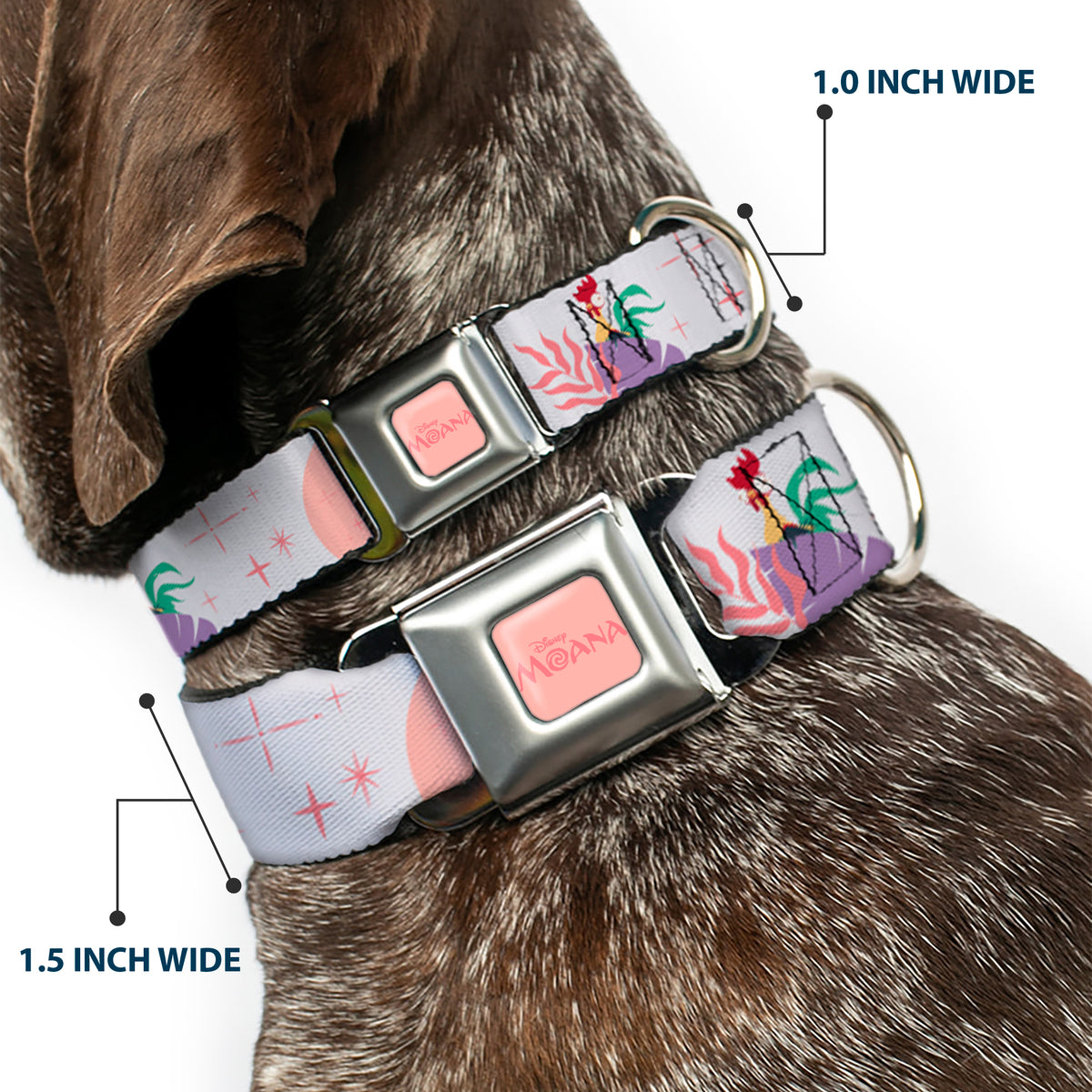MOANA Title Logo Full Color Pinks Seatbelt Buckle Collar - Moana and Hei Hei Poses with Flowers Beige/Orange Dog Collars Seatbelt Buckle Disney