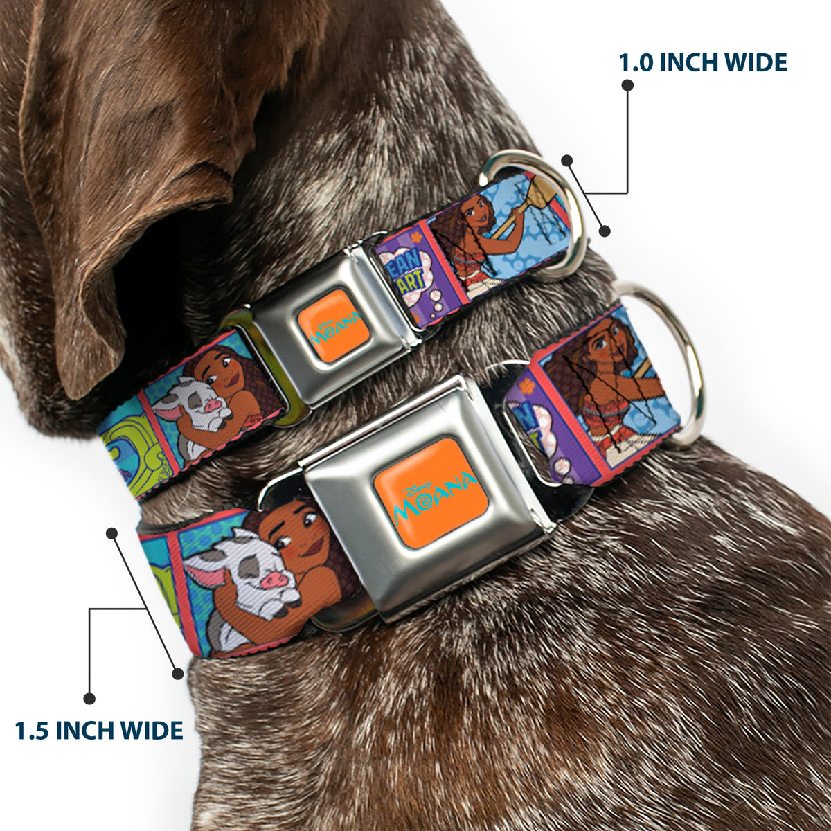 MOANA Title Logo Full Color Orange/Blue Seatbelt Buckle Collar - Moana MAKE WAVES Scene Blocks Blues/Orange Dog Collars Seatbelt Buckle Disney