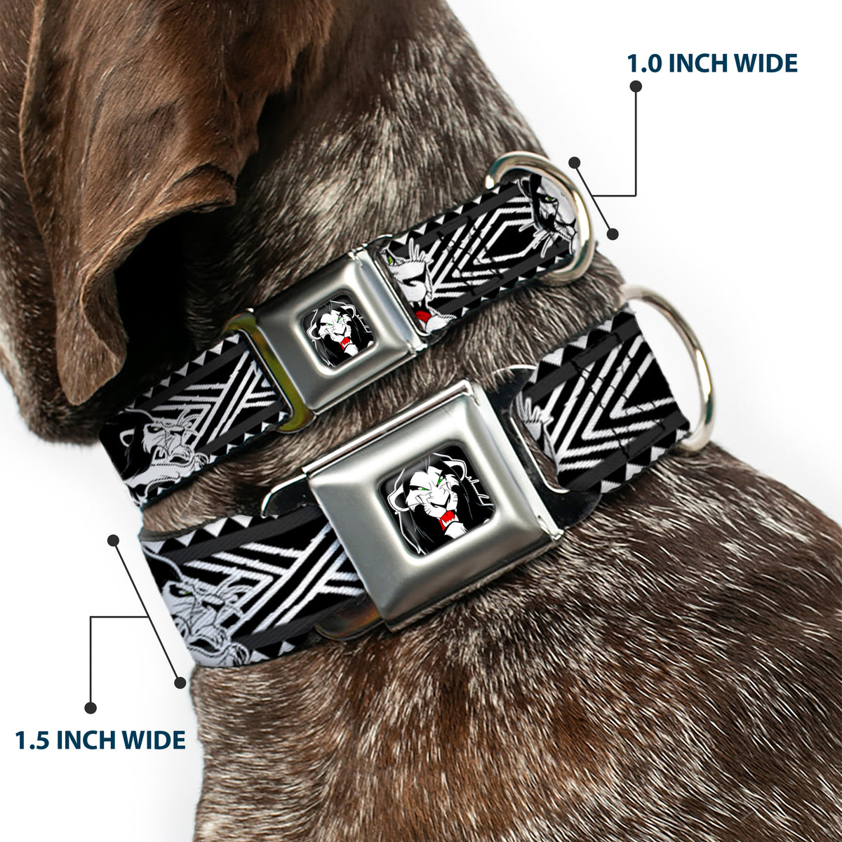 Simba Face Full Color Black/White/Red Seatbelt Buckle Collar - Lion King Scar Poses White/Black Dog Collars Seatbelt Buckle Disney