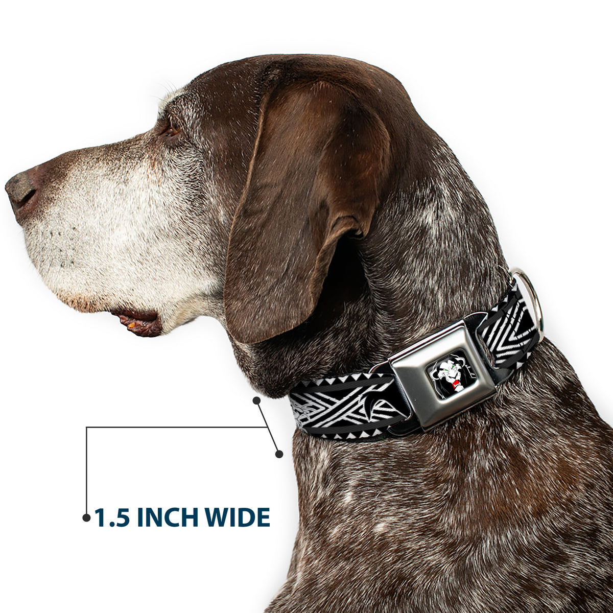 Simba Face Full Color Black/White/Red Seatbelt Buckle Collar - Lion King Scar Poses White/Black Dog Collars Seatbelt Buckle Disney