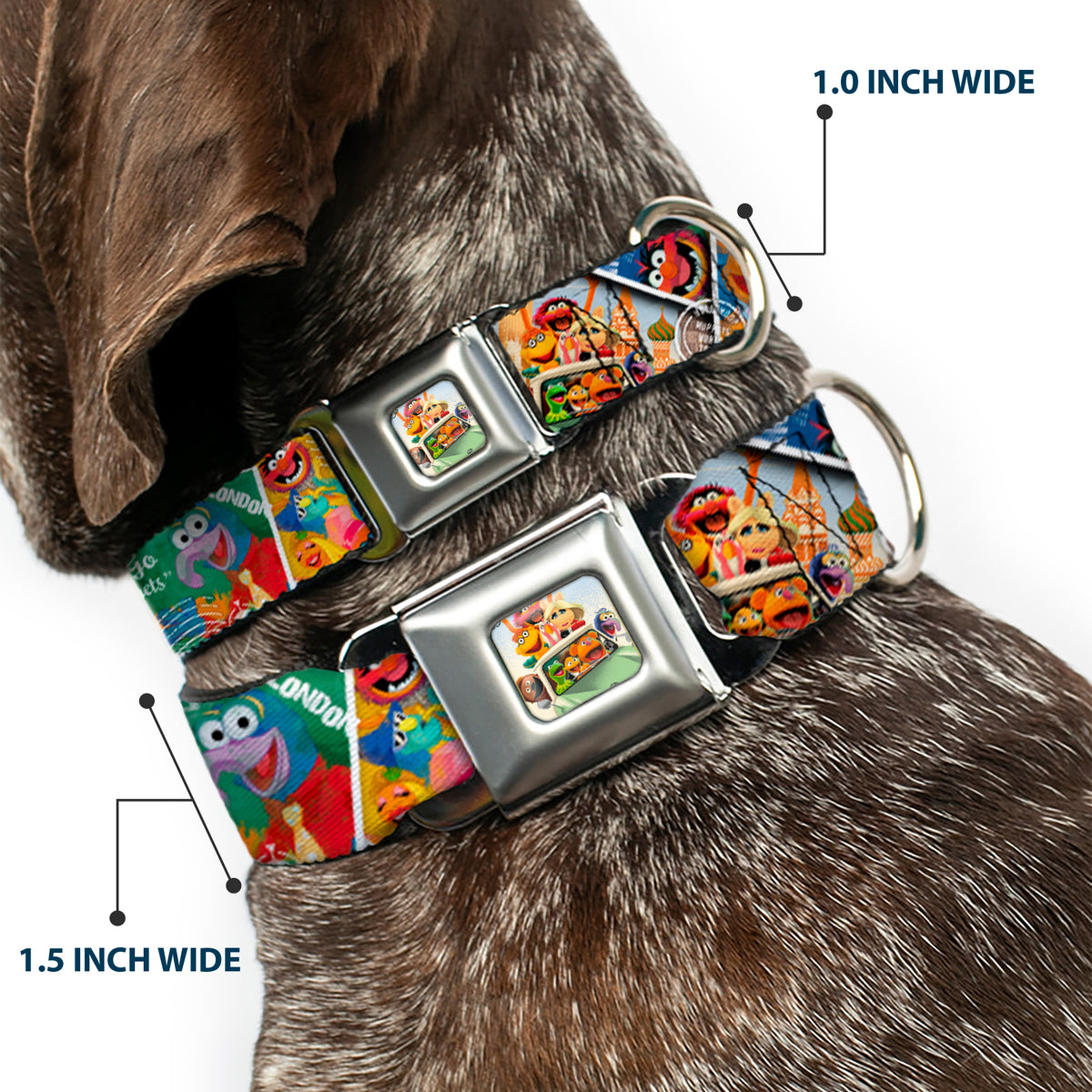 Muppets in Car Full Color Seatbelt Buckle Collar - Muppets Postage Stamps Stacked Dog Collars Seatbelt Buckle Disney