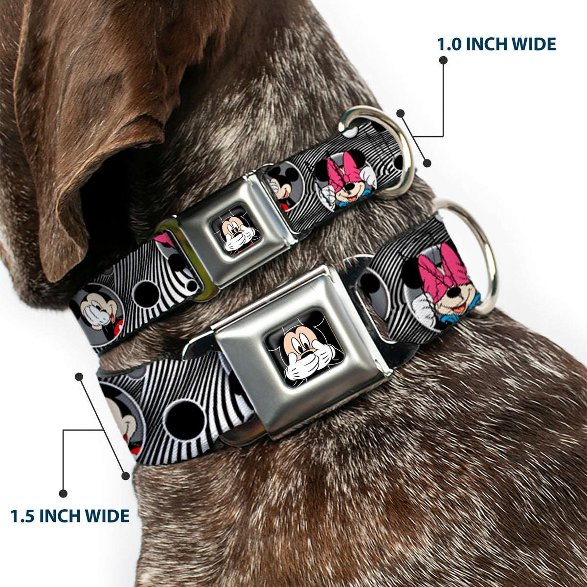 Mickey Mouse Expression3 Full Color Black Seatbelt Buckle Collar - Mickey & Minnie Peek-a-Boo Expressions Swirl Black/White Dog Collars Seatbelt Buckle Disney