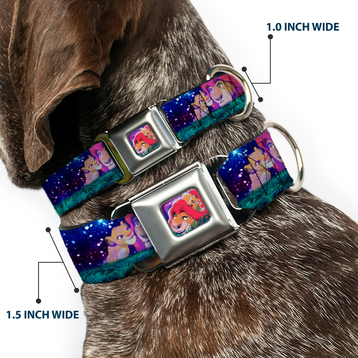 Mufasa & Simba Full Color Seatbelt Buckle Collar - Mufasa & Simba Night Poses Dog Collars Seatbelt Buckle Disney