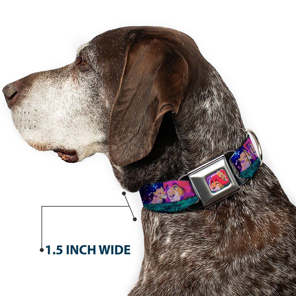Mufasa & Simba Full Color Seatbelt Buckle Collar - Mufasa & Simba Night Poses Dog Collars Seatbelt Buckle Disney