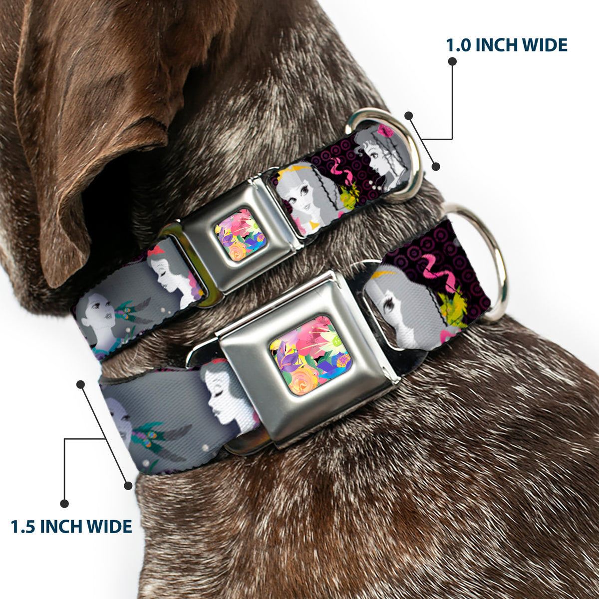Floral Collage Full Color Multi Pastel Seatbelt Buckle Collar - Princess Silhouettes Dots Black/Purple/Gray/Multi Color Dog Collars Seatbelt Buckle Disney