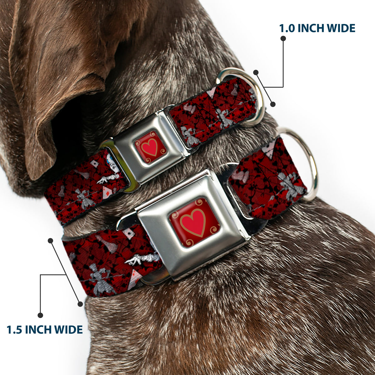 Queen's Heart Full Color Reds Gold Seatbelt Buckle Collar - Queen of Hearts Poses/Hearts/Cards Reds/Black Dog Collars Seatbelt Buckle Disney