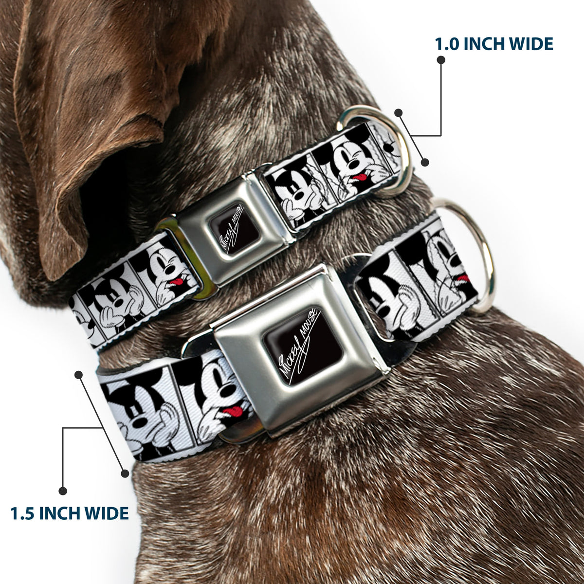 MICKEY MOUSE Autograph Full Color Black/White Seatbelt Buckle Collar - Mickey Mouse Expression Blocks White/Black/Red Dog Collars Seatbelt Buckle Disney