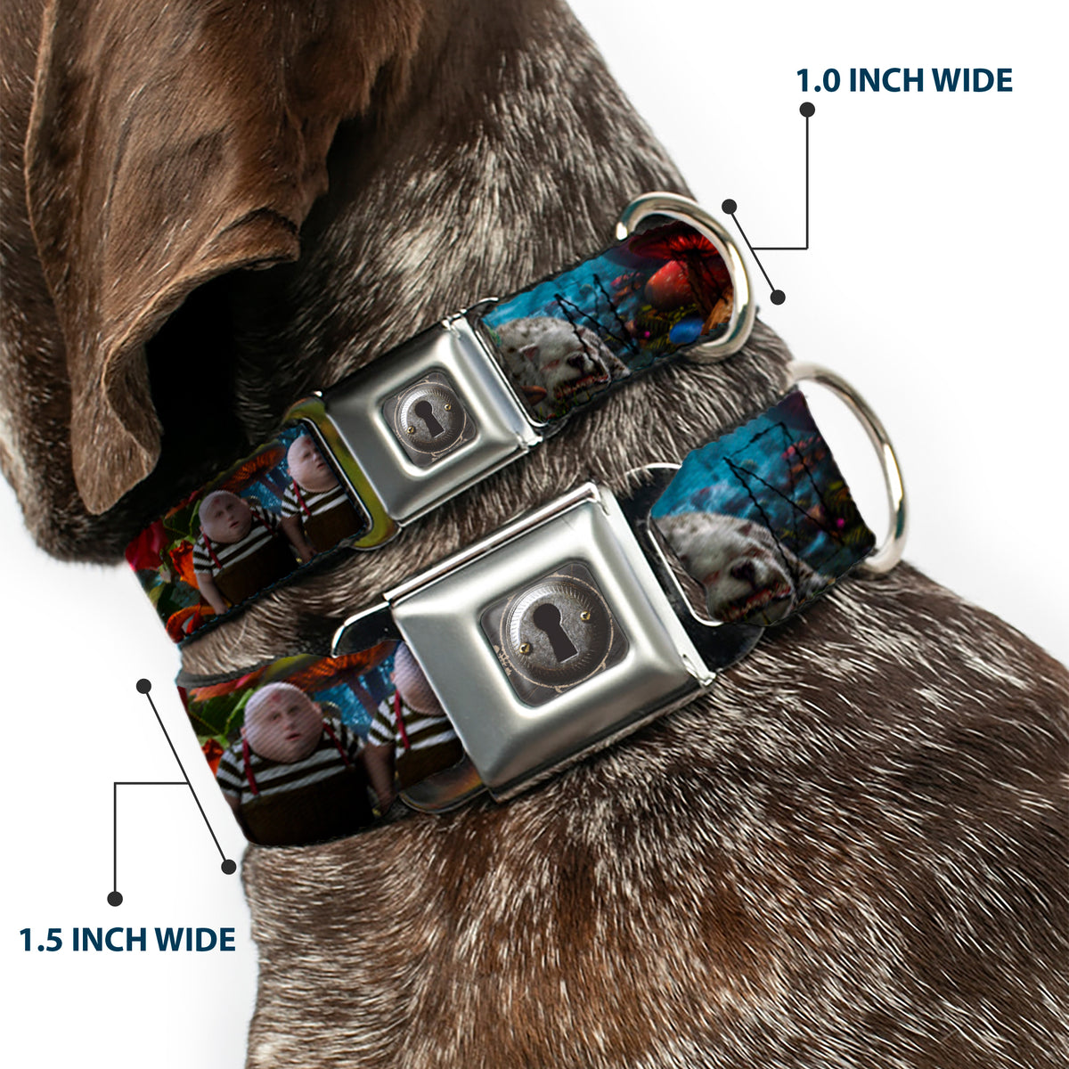 Alice Keyhole Full Color Grays Seatbelt Buckle Collar - Alice in Wonderland Movie Encounters Dog Collars Seatbelt Buckle Disney
