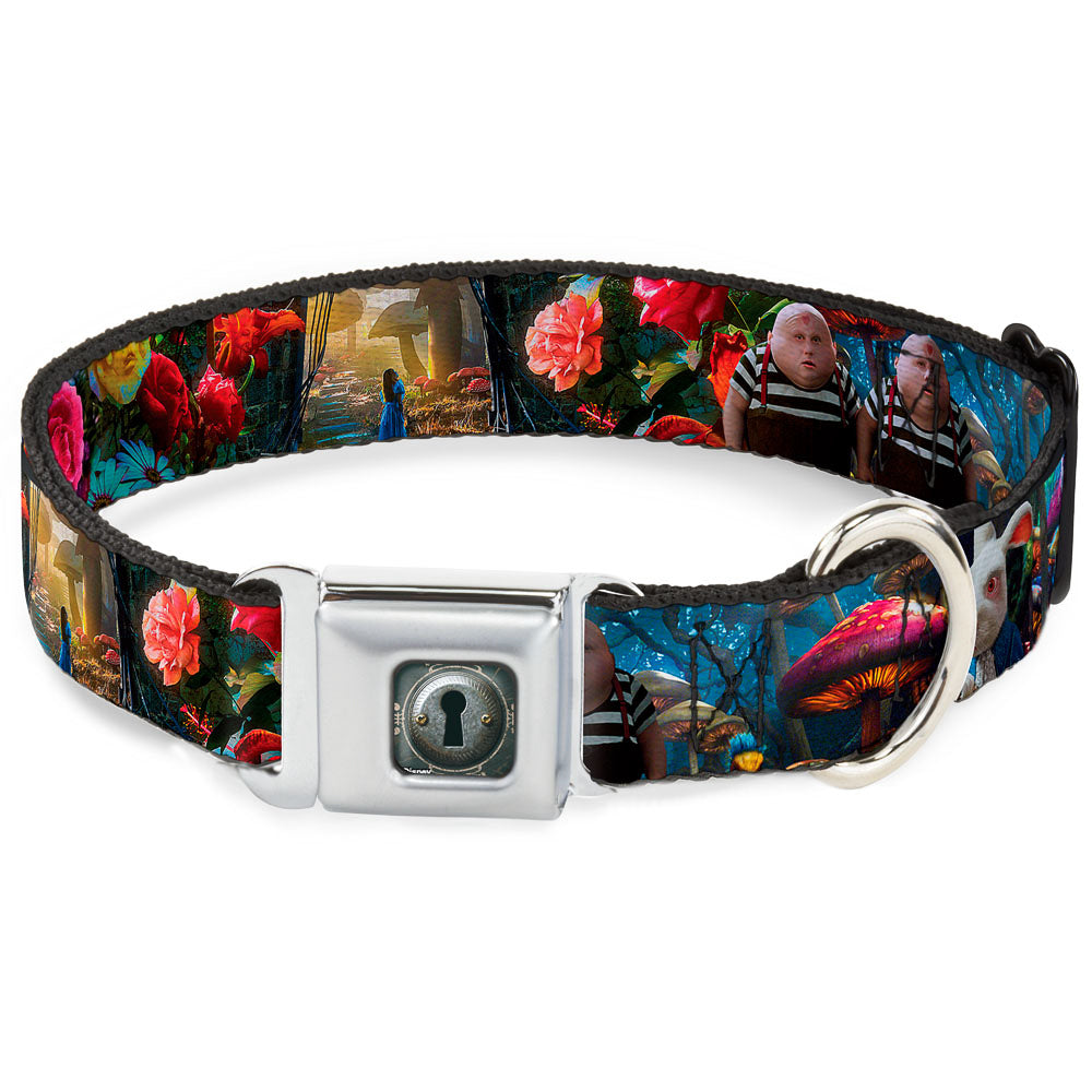 Alice Keyhole Full Color Grays Seatbelt Buckle Collar - Alice in Wonderland Movie Encounters Dog Collars Seatbelt Buckle Disney