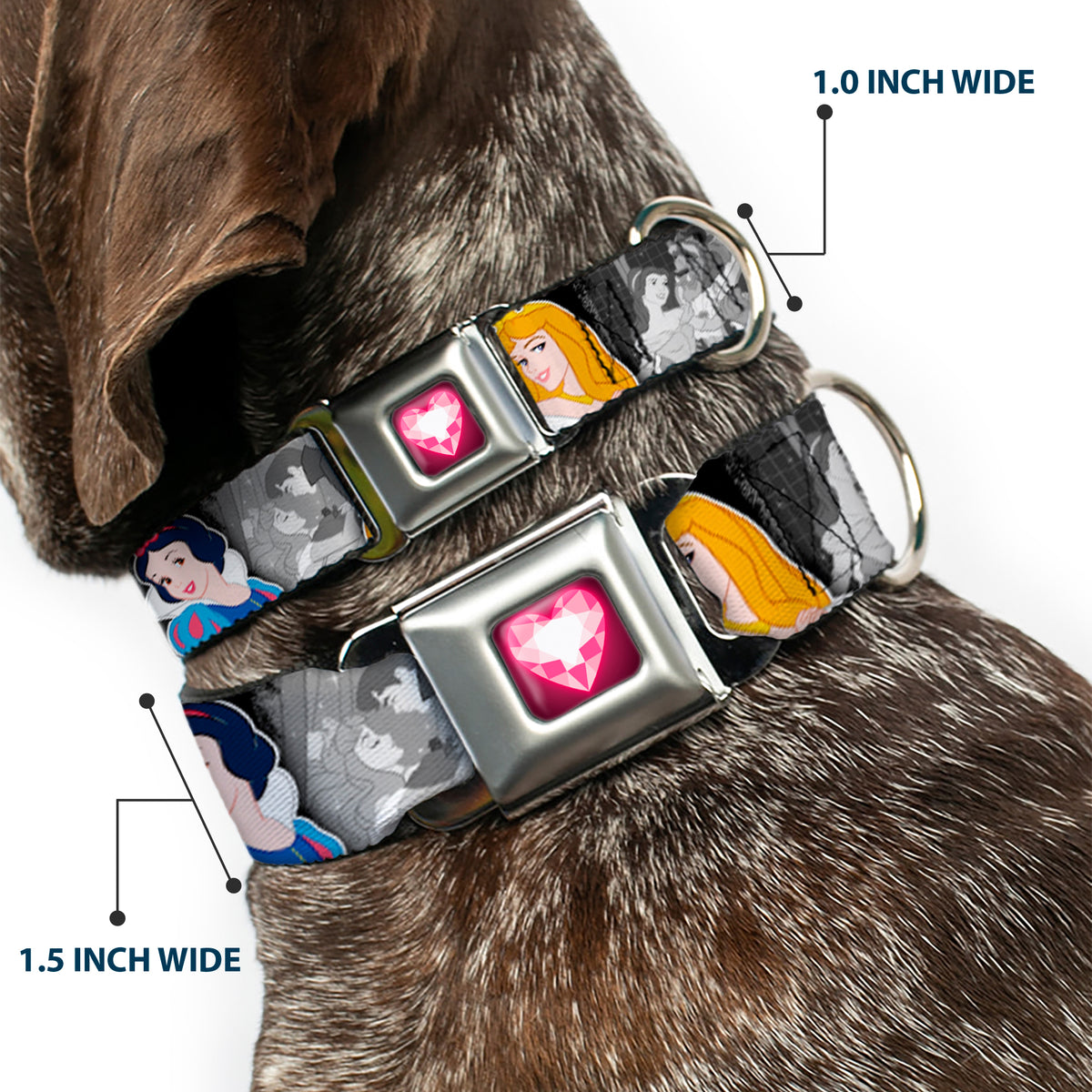 Princess Gem Heart Full Color Black/Pink Seatbelt Buckle Collar - Princess Pose/Princess & Prince Scene Grays/Multi Color Dog Collars Seatbelt Buckle Disney