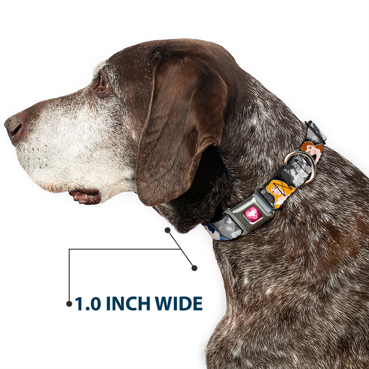 Princess Gem Heart Full Color Black/Pink Seatbelt Buckle Collar - Princess Pose/Princess & Prince Scene Grays/Multi Color Dog Collars Seatbelt Buckle Disney