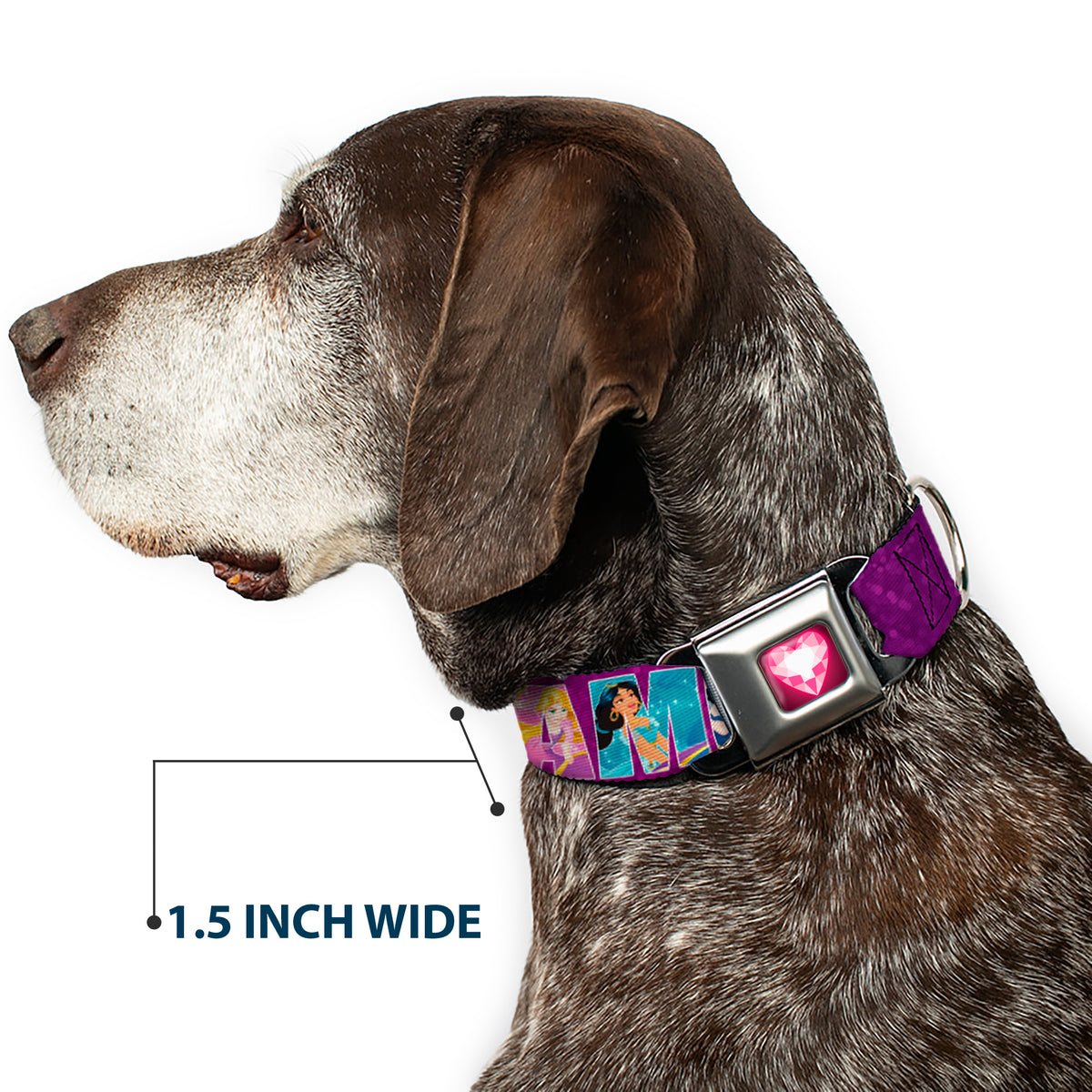 Princess Gem Heart Full Color Black/Pink Seatbelt Buckle Collar - Disney DREAMER 7-Sparkling Princesses/Tiara Purple/White Dog Collars Seatbelt Buckle Disney