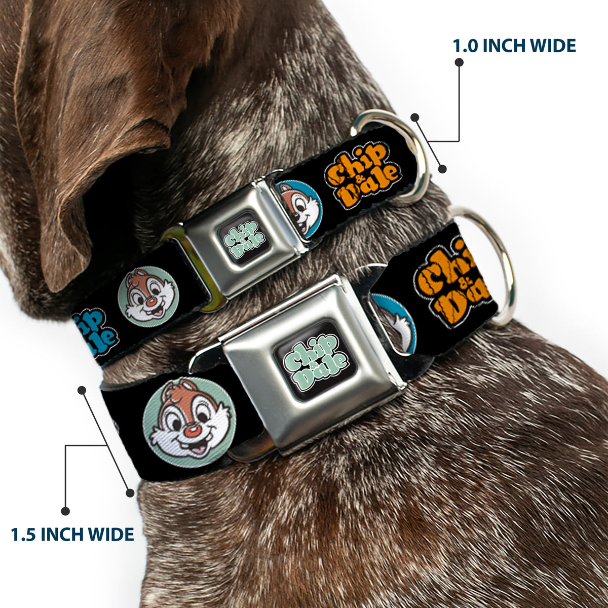 CHIP & DALE Text Logo Full Color Black/Gray Seatbelt Buckle Collar - CHIP & DALE Expression Bubbles Black/Multi Color Dog Collars Seatbelt Buckle Disney